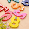 Number Wooden Fridge Magnet Pack of 10