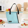 Premium Multipurpose Insulated Lunch Tote Bag