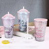 Kawaii Transparent Sipper With Straw