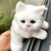 Hanging Feline Friends: Realistic Cat Figures