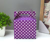 Polka dot Theme Happy Birthday Boxes Set of 10