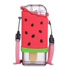 Ice Cream Fruit Water Bottle - 300ml